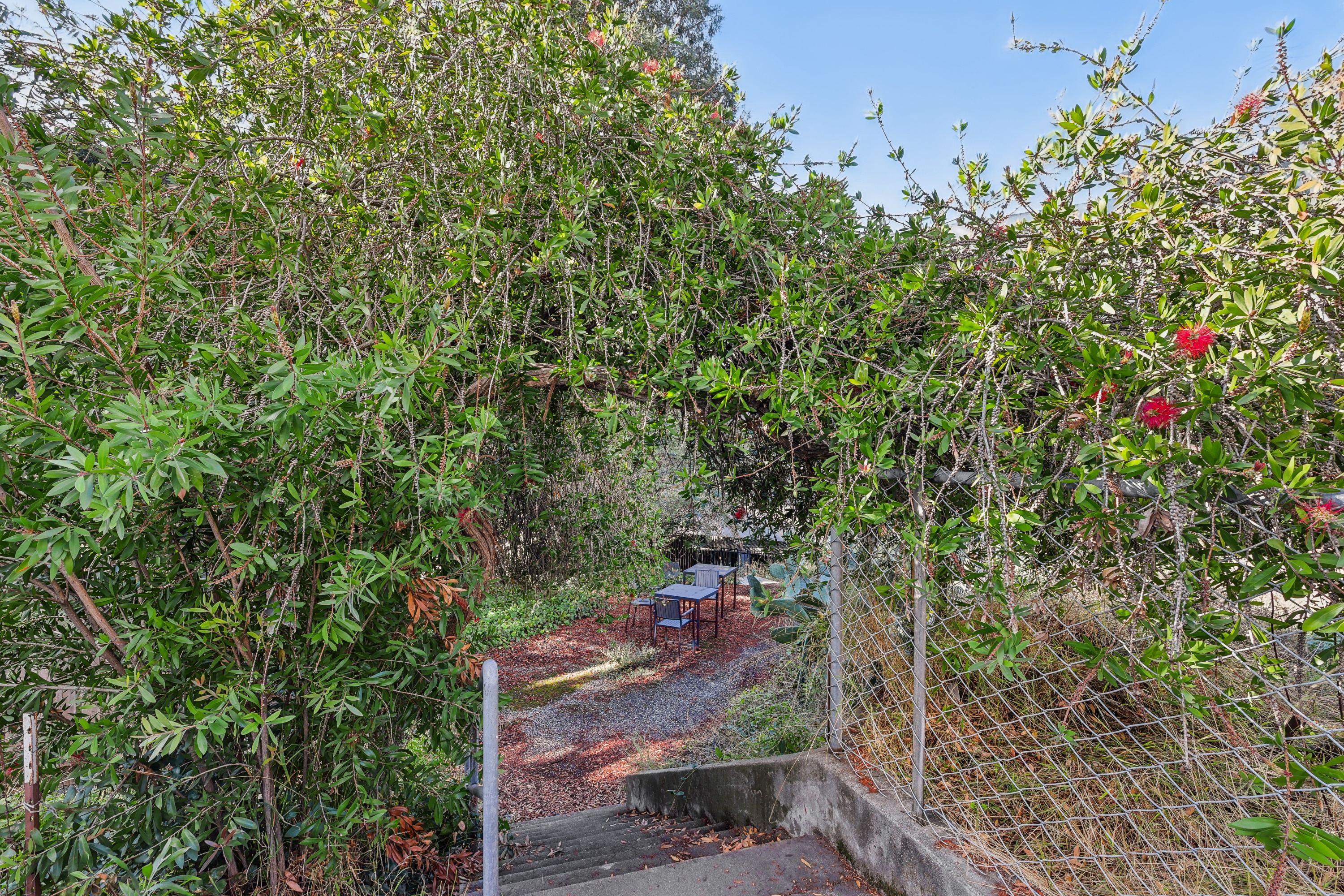 2369 Le Conte Avenue photo 5